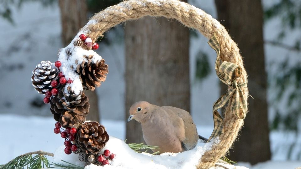 Noël et le deuil