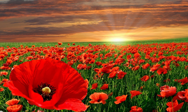 Capture d&rsquo;écran 2026-01-16 111918